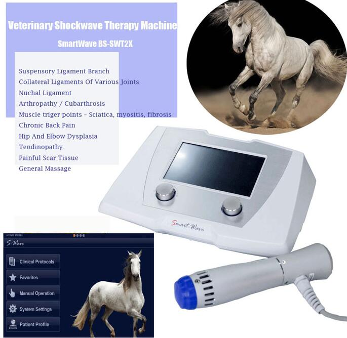 Equine Use Veterinary Shockwave Therapy Equipment